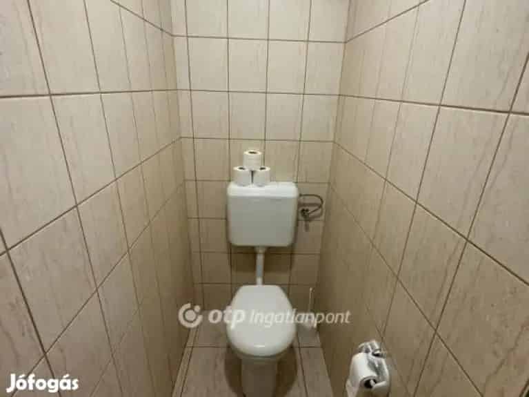 Apartmanegyüttes Tomajmonostorán - 7 szoba, szauna, horgásztó