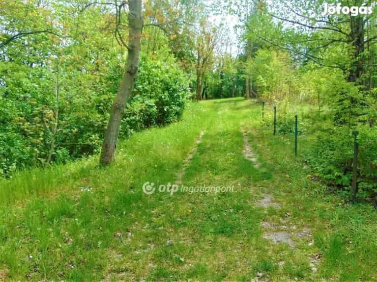 Telek eladó Zalaegerszegen 1610 m2 zártkertben