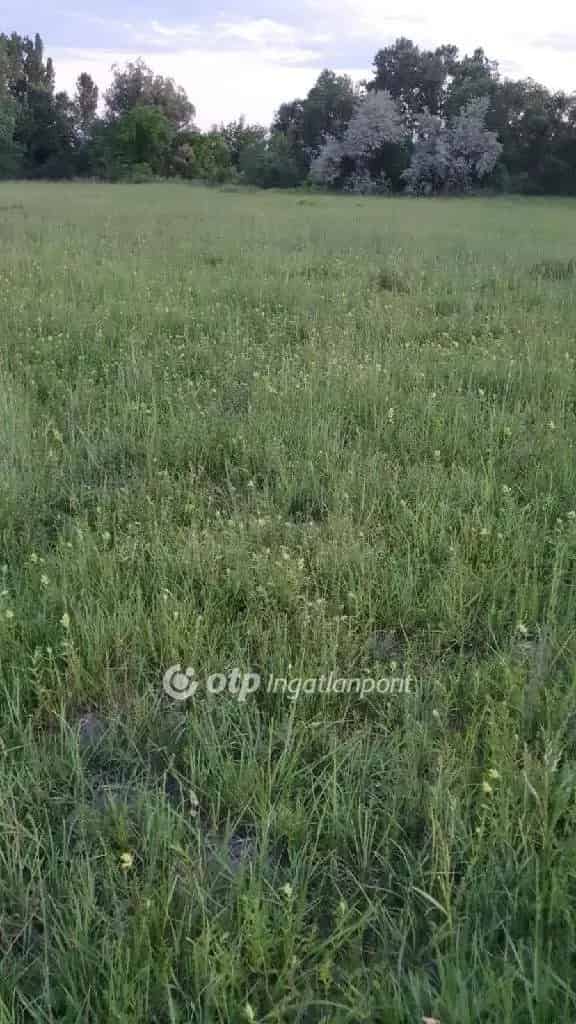 Telek Kiadó , Mórahalmi járás, Alföld és Észak