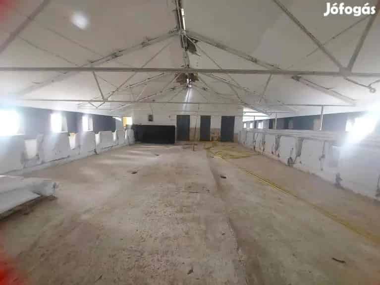30 306 m2-es tanya eladó Debrecen közelében