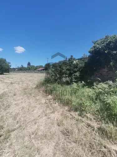 Révfülöpi panorámás telek eladó romos pincével