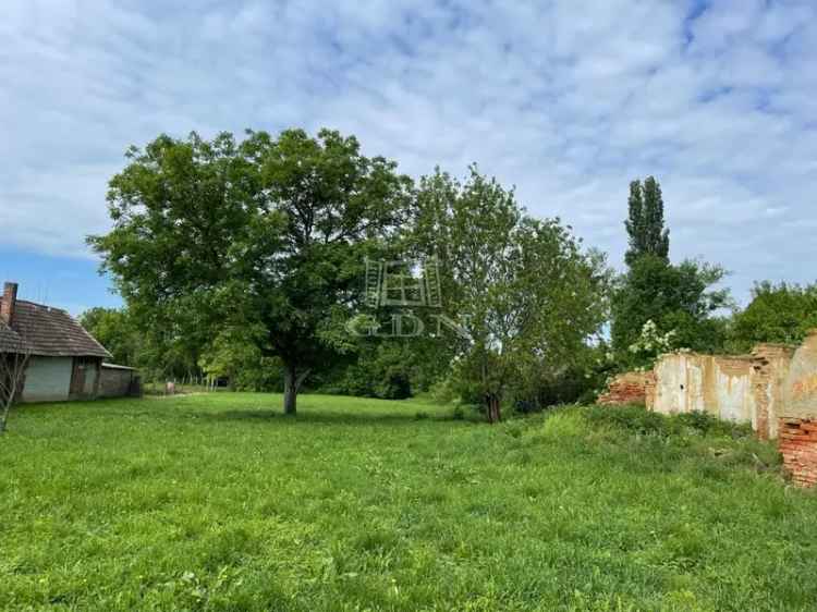 Kéthelyi nagy telek eladó Balaton közelében
