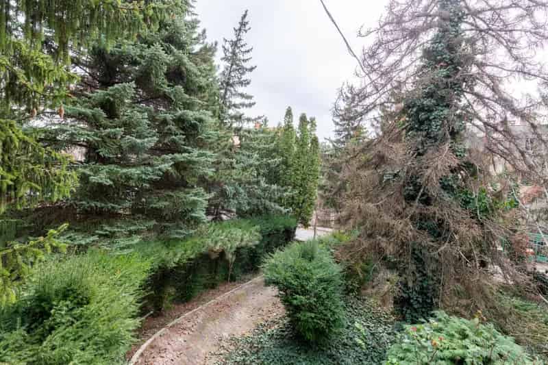 II kerület zöldövezeti telek eladó - 1010m2 - befektetésre vagy otthonra