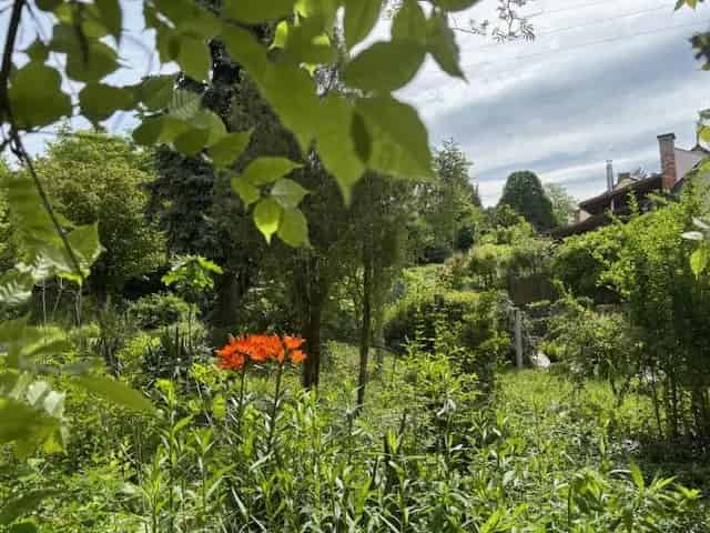 Esztergom Panorámás Telek Eladó Ikerházra Alkalmas