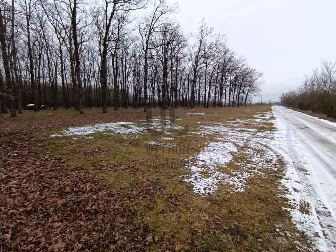 Eladó telek Hajdúszoboszlón, közel a természethez