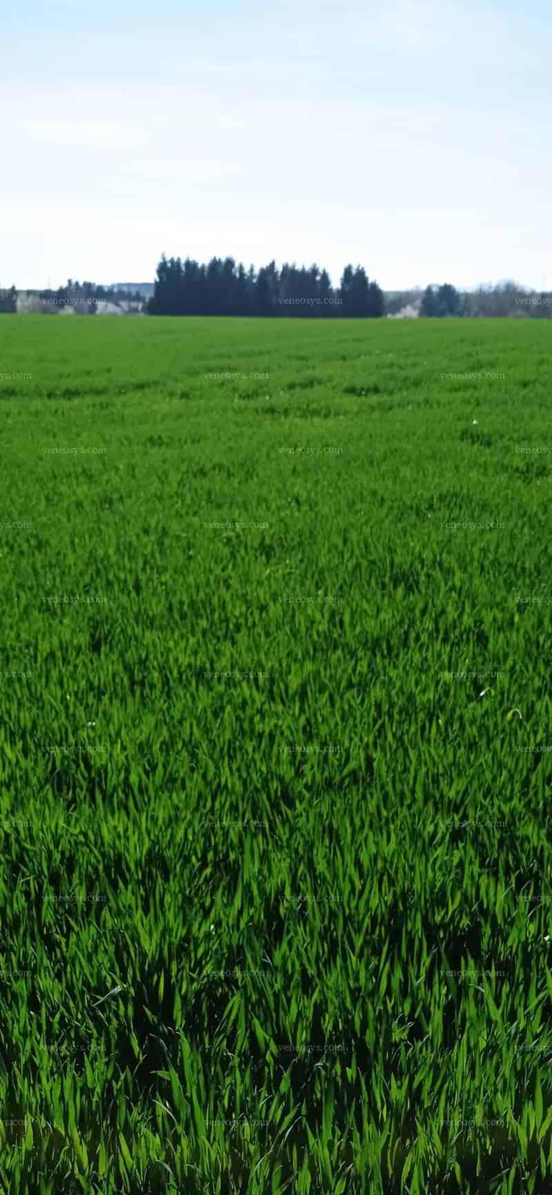 Panorámás Telek Eladó Kiváló Befektetésnek