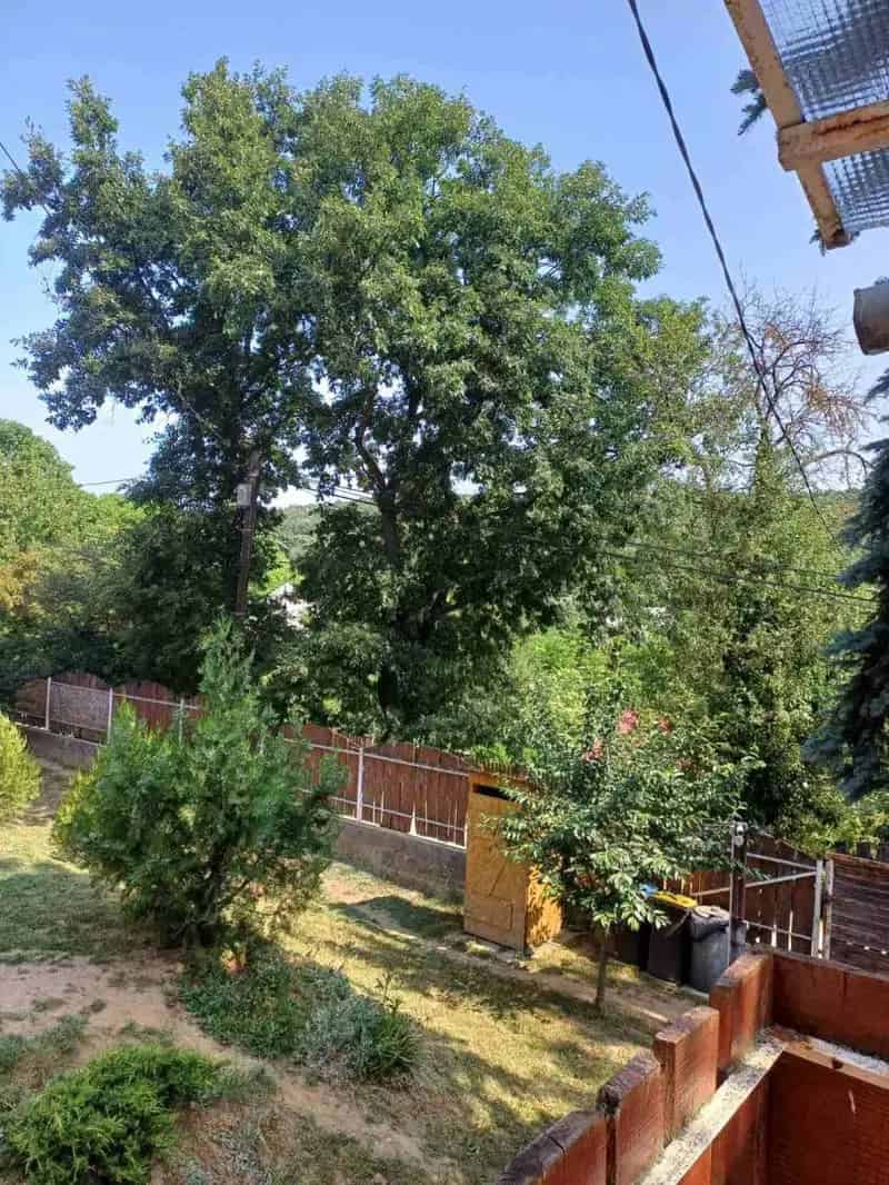 Zöldövezeti hétvégi ház Törökbálint közelében 830nm telken