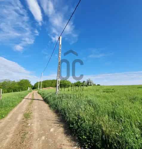 Őrbottyáni eladó mezőgazdasági ingatlan 11300 m2 3 beépíthetőséggel