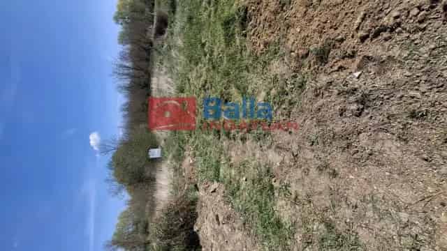 Vése családi ház eladó 1103m2 telken felújítandó