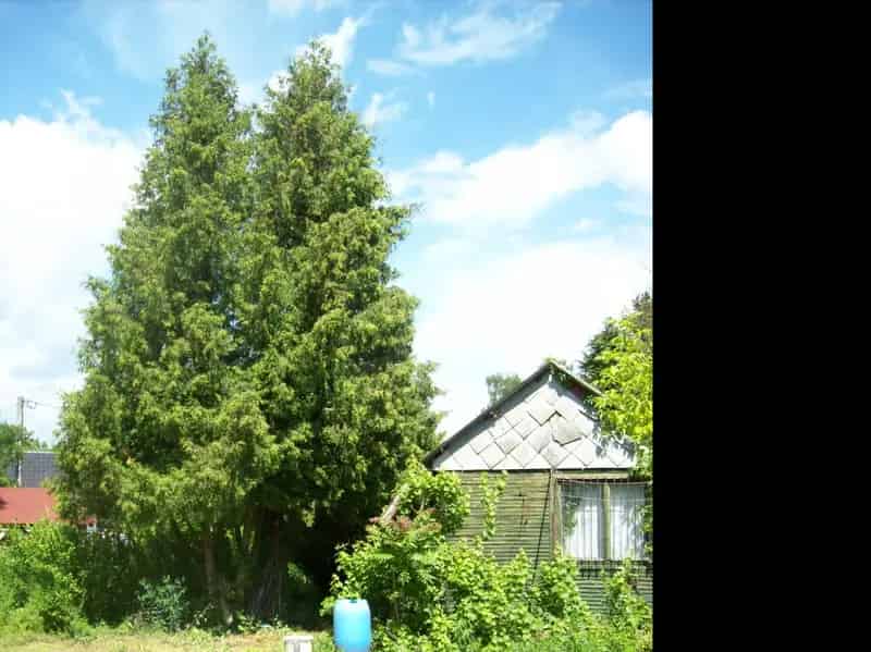 Tokaj Üdülőövezet Zártkert Eladó 1278 m2
