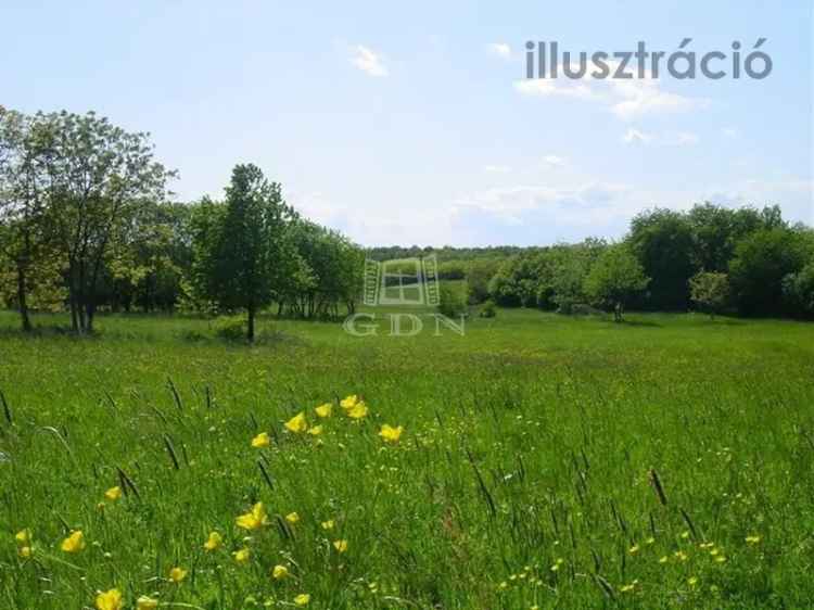 1001 m2-es telek eladó Úrhida központjában