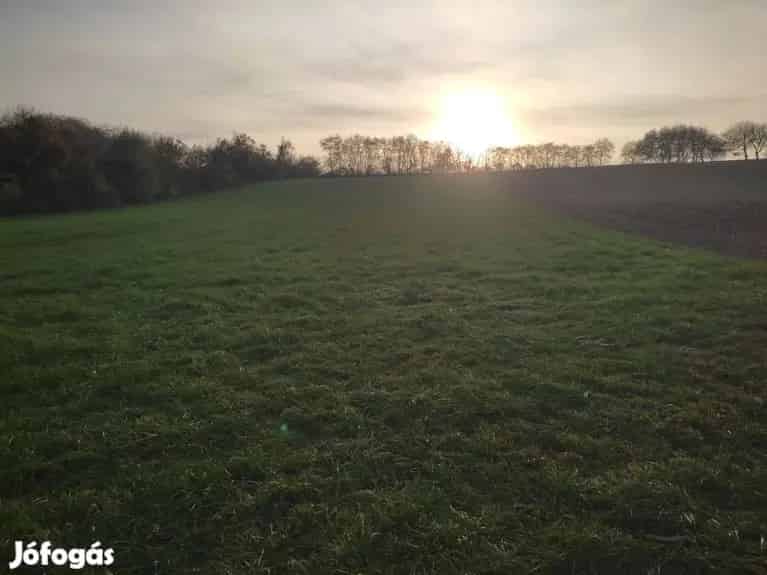 Tabajd panorámás zártkert eladó