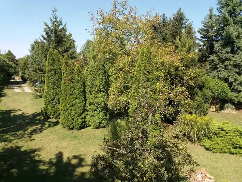 Nyíregyháza Sóstó 6793m2 Telek Eladó