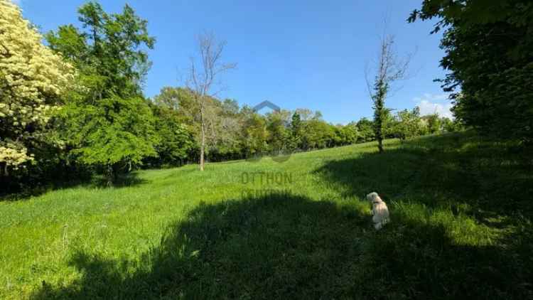 Balatonszőlős panorámás telek eladó 4520m2
