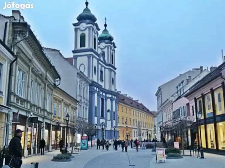 Székesfehérvár Belváros Üzlethelyiség Eladó 150m2