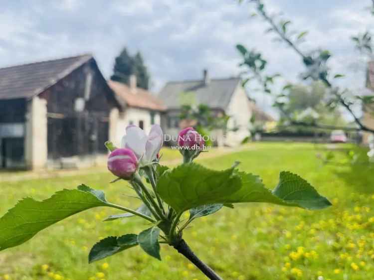 Eladó családi ház Csákánydoroszlón - 3 szoba, 914nm telek