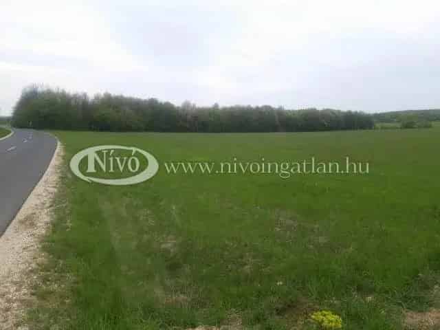 55 000 m2-es Gyepterület Eladó Hárskút Közelében Tanya Lovarda Létesítésére