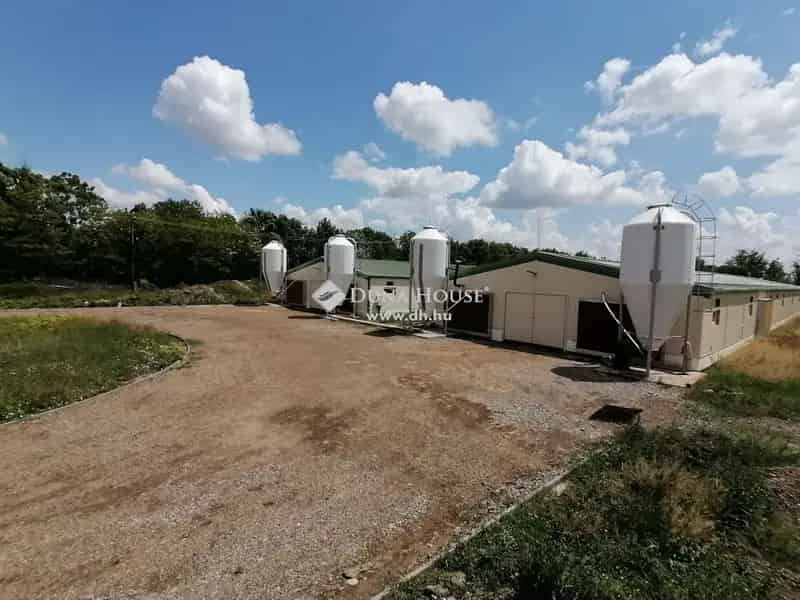 Szentesi Baromfitarto Telep Elado 6 Hektar