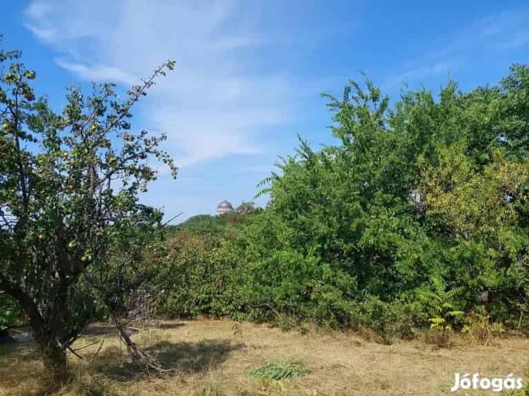 Eladó belterületi telek Esztergomban - Dunai panorámával