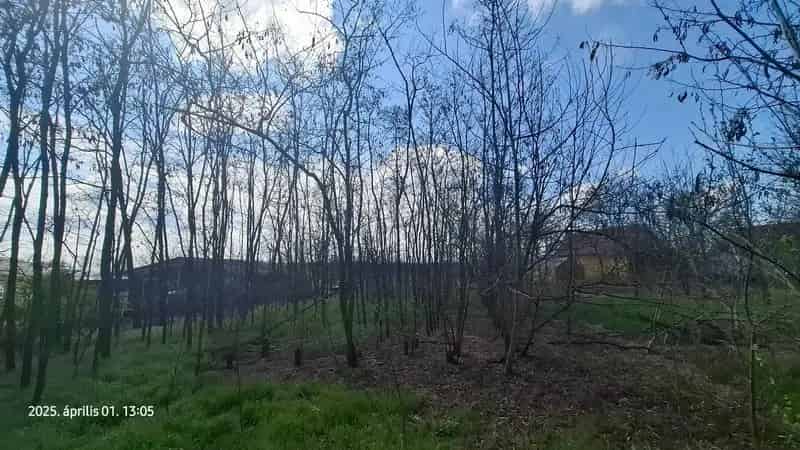 Gyulai Zártkerti Telek Eladó 4318 m2 - Befektetőknek Ideális