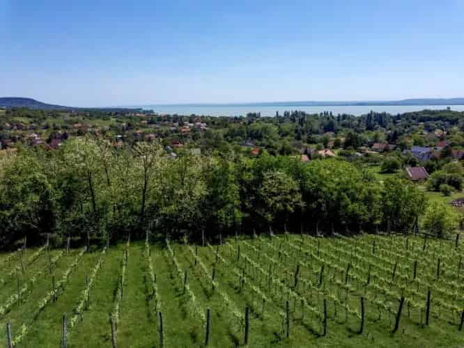 Ábrahámhegyi Balatonra panorámás beépíthető telek eladó