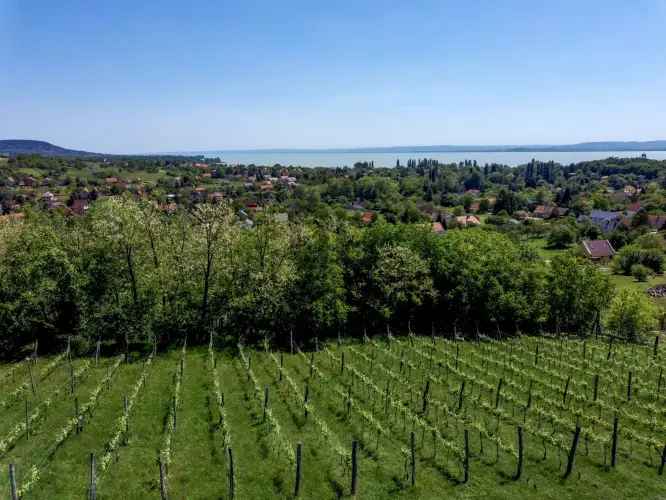 Eladó nyaraló Ábrahámhegyen Balatonra panorámás telek