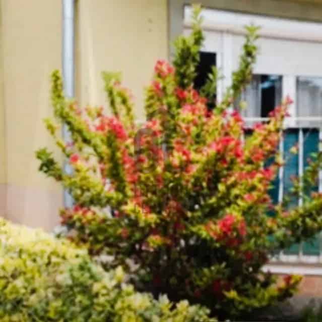 Balatonfüred Belvárosi 2 Szobás Lakás Eladó - Garázzsal