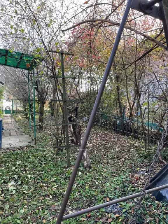 Gyulai Városerdőn felújított 1 2 szobás nyaraló eladó