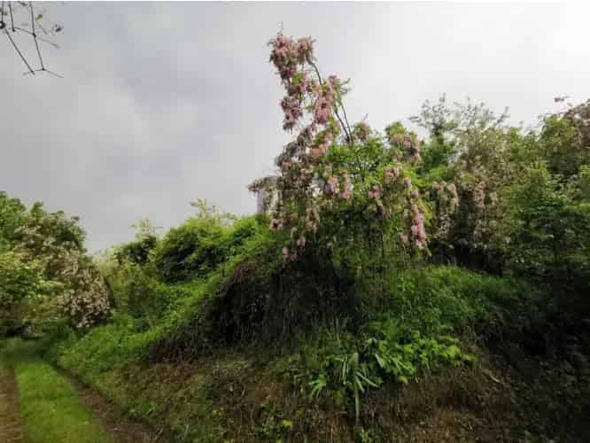 Homokkomáromi eladó telek 2970 m2 - hétvégi háznak ideális