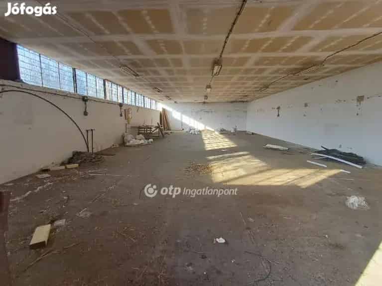 8433 m2-es Műhely Sükösdön eladó - Több épülettel, Szerelőaknákkal