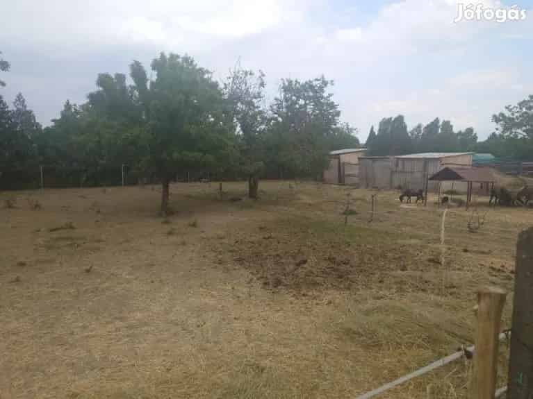 Kőszárhegy 800m2-es Telek Eladó