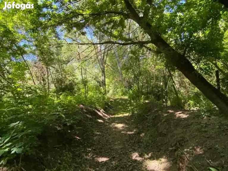 Ipari Ingatlan Eladó Békéscsaba Közelében 15000 nm