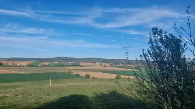 Eladó tégla présház Sásdon szőlő ültetvénnyel és panorámás kilátással