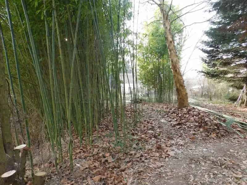 6758 m2-es Belterületi Telek Lengyeltótiban - Tökéletes Lakóparknak vagy Osztásra