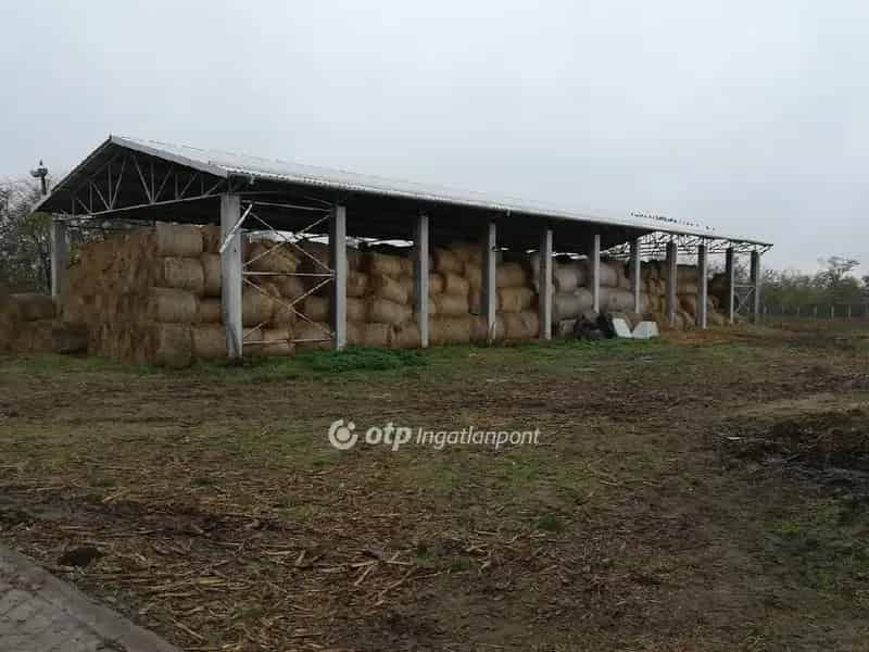 Állattartó Telep Eladó Békés Megyében 5000 m2