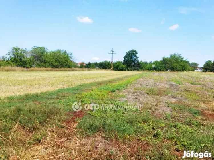 Eladó Telek Szentesen 9040m2 Beépíthető Telek Befektetőknek