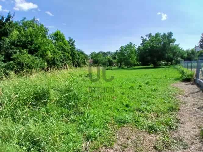 Miskolc Észak-Kilián családi ház nagy telekkel eladó