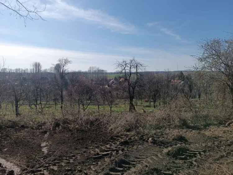 Ajka Padragkut 3262 nm-es telek eladó panorámás kilátással