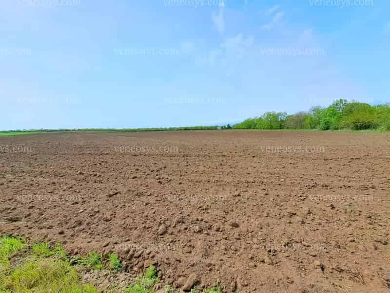 66652 nm-es Mezőgazdasági Telek Eladó Sárszentmihályban Lovardának Farmnak Napelemparknak