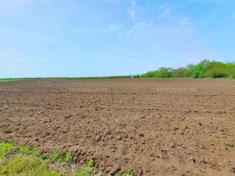 KIVÁLÓ TERÜLET LOVARDA, FARM LÉTESÍTÉSÉRE VAGY TELEPÍTSEN NAPELEMPARKOT!