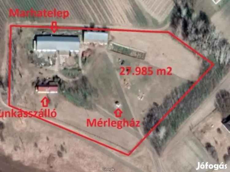 Eladó ipari terület Domaszéken állattartásra alkalmas területtel
