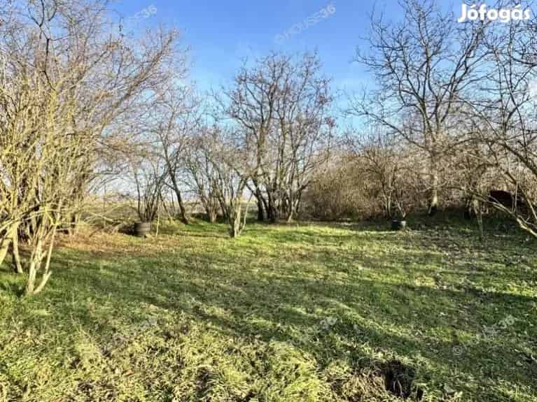 Kecskemét Talfája Tanya Eladó 2877m2