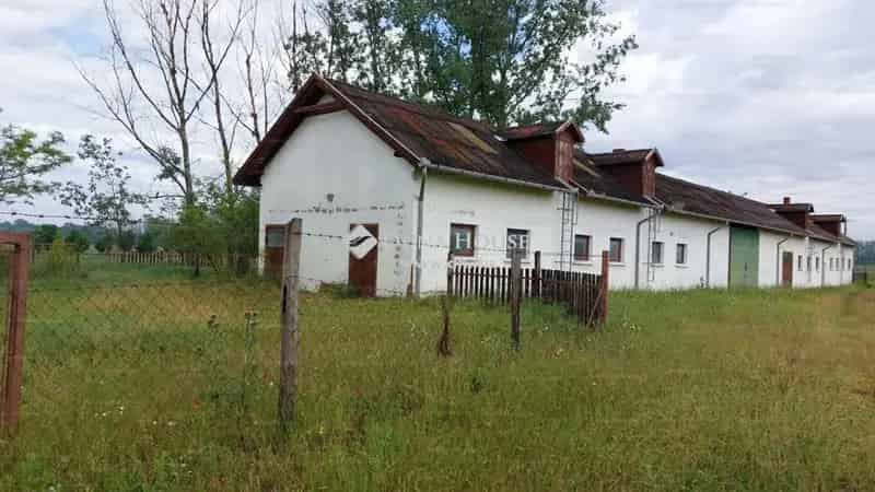 14 Hektaros Telephely Raktarazasa Es Allattartasra