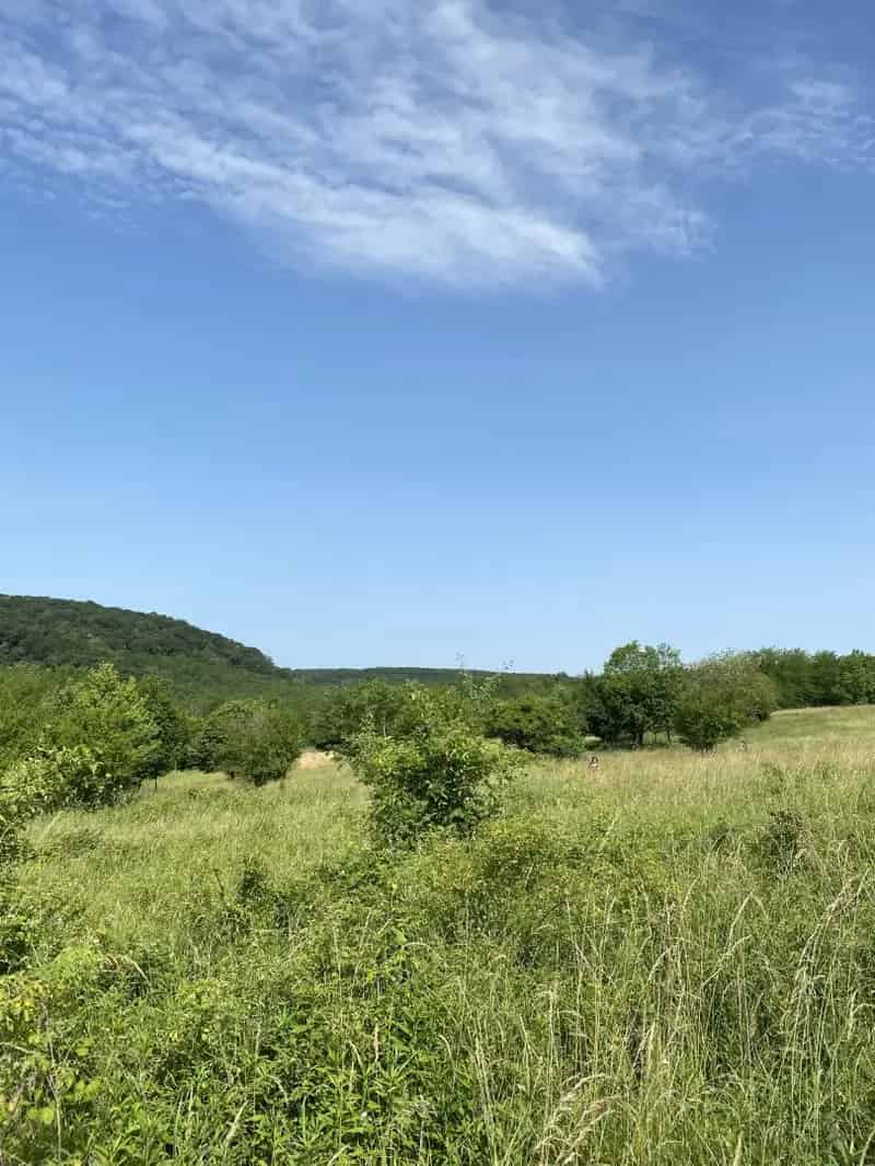Építési Telek Zalaegerszegen Panorámával