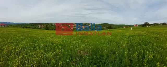 Berkenyei építési telek eladó 1949 m² panorámával CSOK