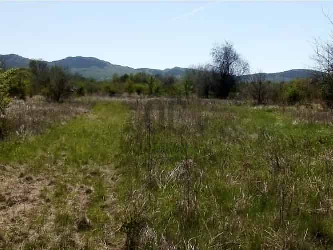 Budakeszi eladó szántóföld reptér közelében 3170 m2