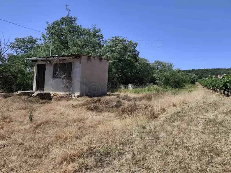 Tagyonban eladó 1763 m2-es szőlő Mk6 övezetben