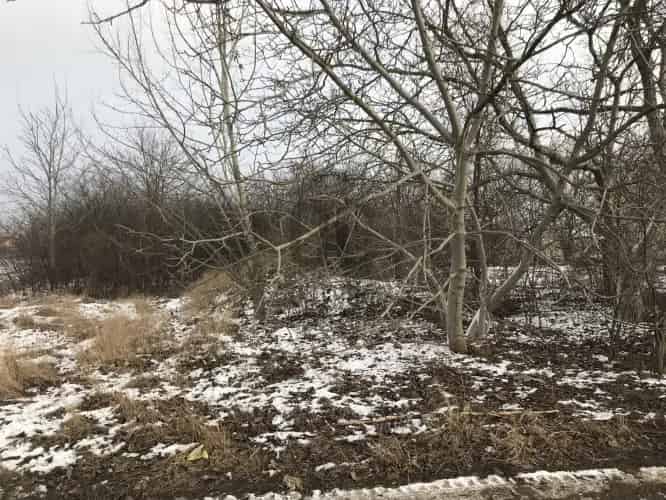 Debreceni eladó telek 1500 m2 Basahalom utca