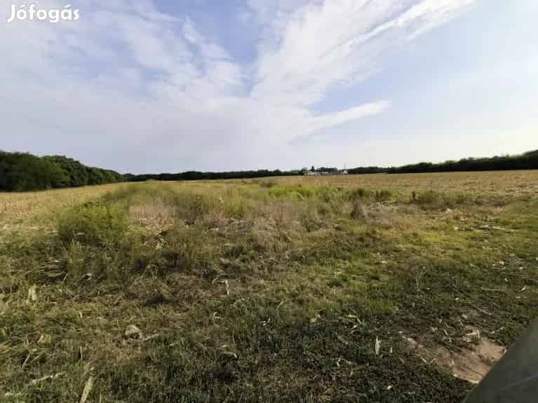 Debrecen Telek Eladó Befektetésre 2819m2 Pallag