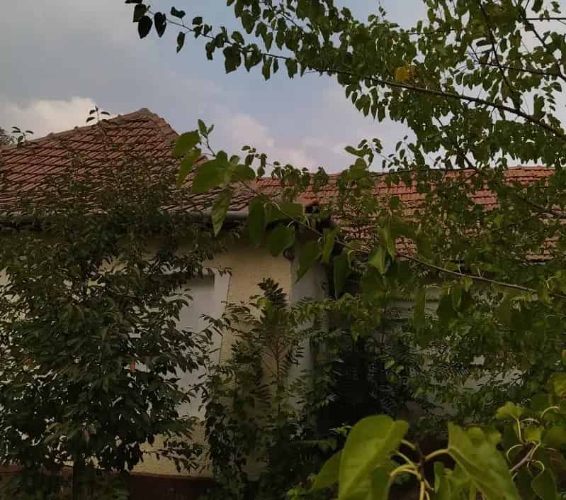 Felujítandó családi ház Okányban 79 m2 1699 m2 telekkel Falusi CSOK
